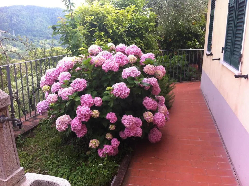 Casa Lia Apartment Arcola Italy